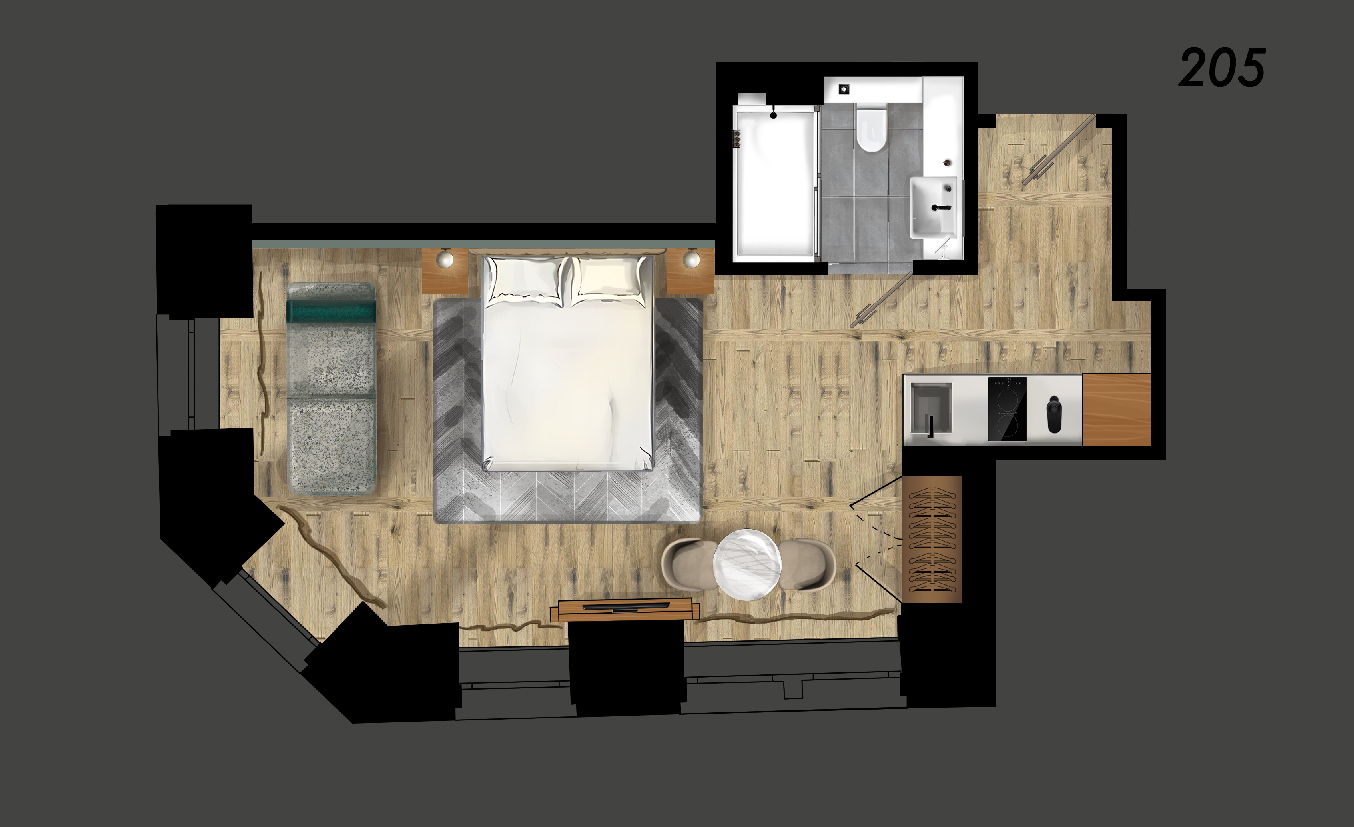 Studio with sofa bed Layout